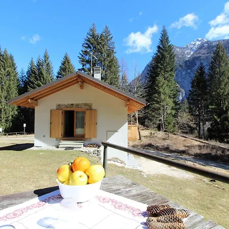 Apartment La Ciamorza Dolomiti - Veneto *