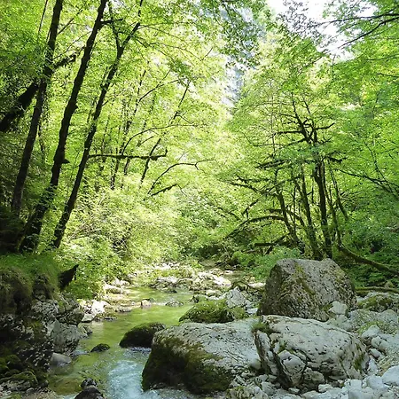 La Ciamorza Dolomiti - Veneto Apartment Cima Gogna